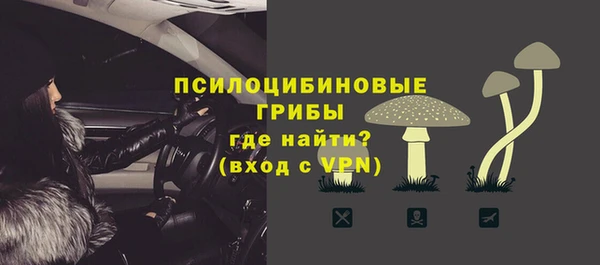 ГАЛЛЮЦИНОГЕННЫЕ ГРИБЫ Балабаново